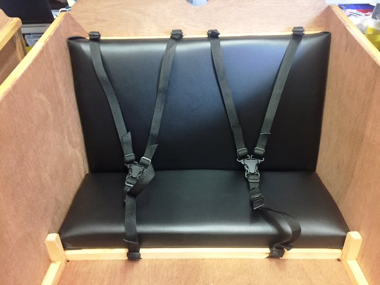 Badger Bikes Deluxe Mountain Theme Double Box for Bullitt MSRP $850.00 Special Order ETA 4 Weeks